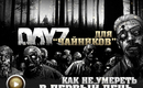 512x384_guide_dayz_1